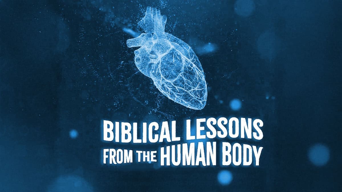 Biblical Lessons from the Human Body
