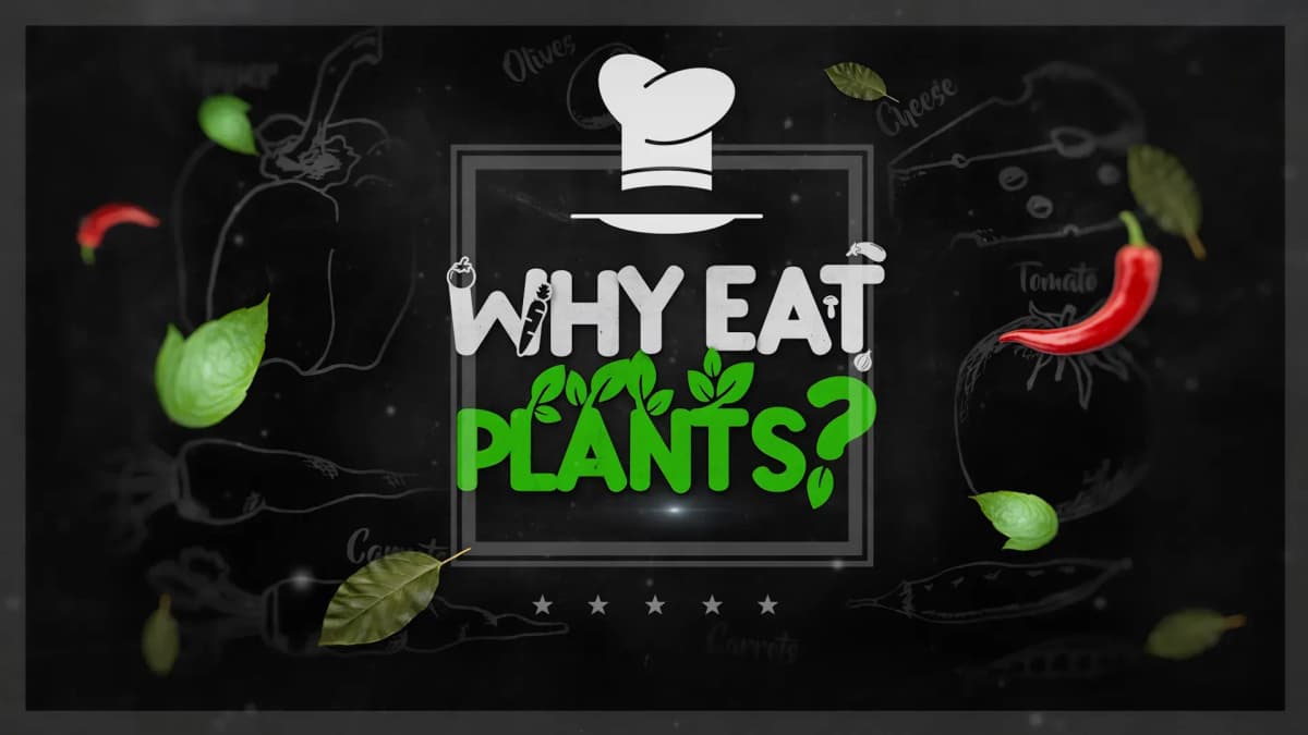 Why Eat Plants?