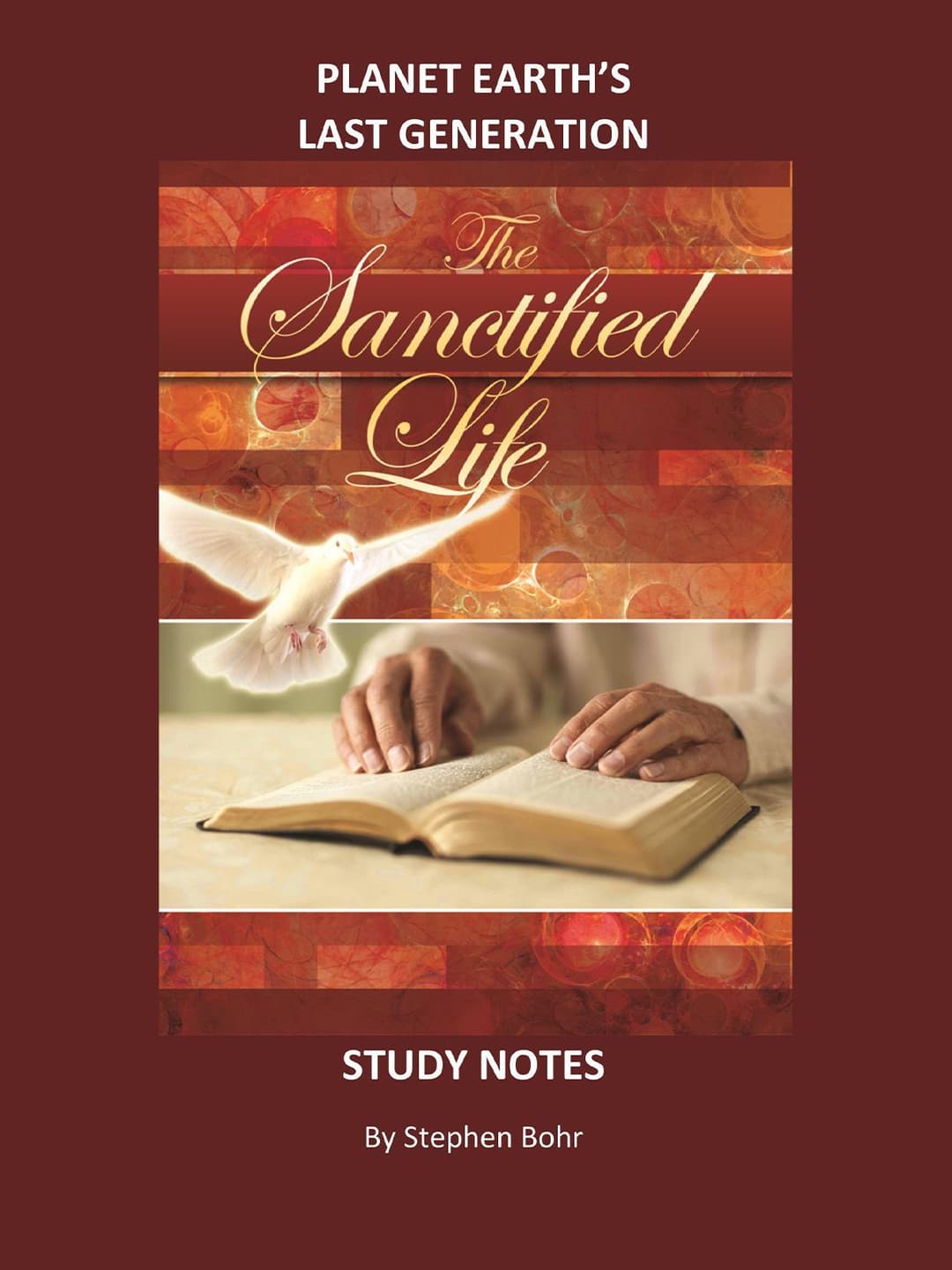 The Sanctified Life