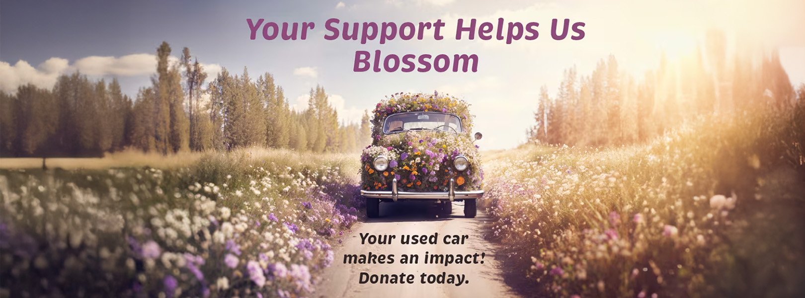 Donate a vehicle